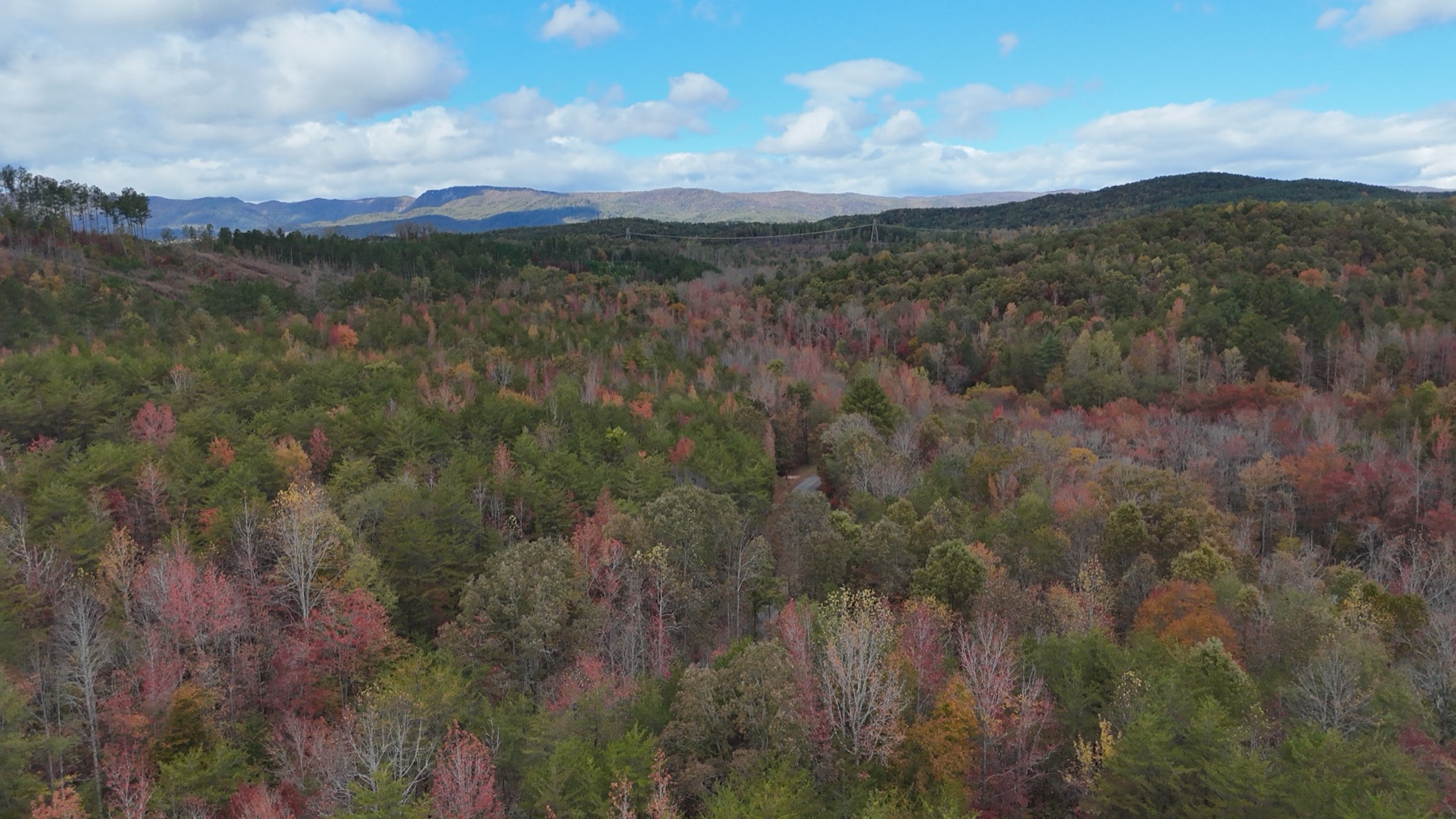 Aerial view of the Blue Ridge foothills near Flying Changes Farm